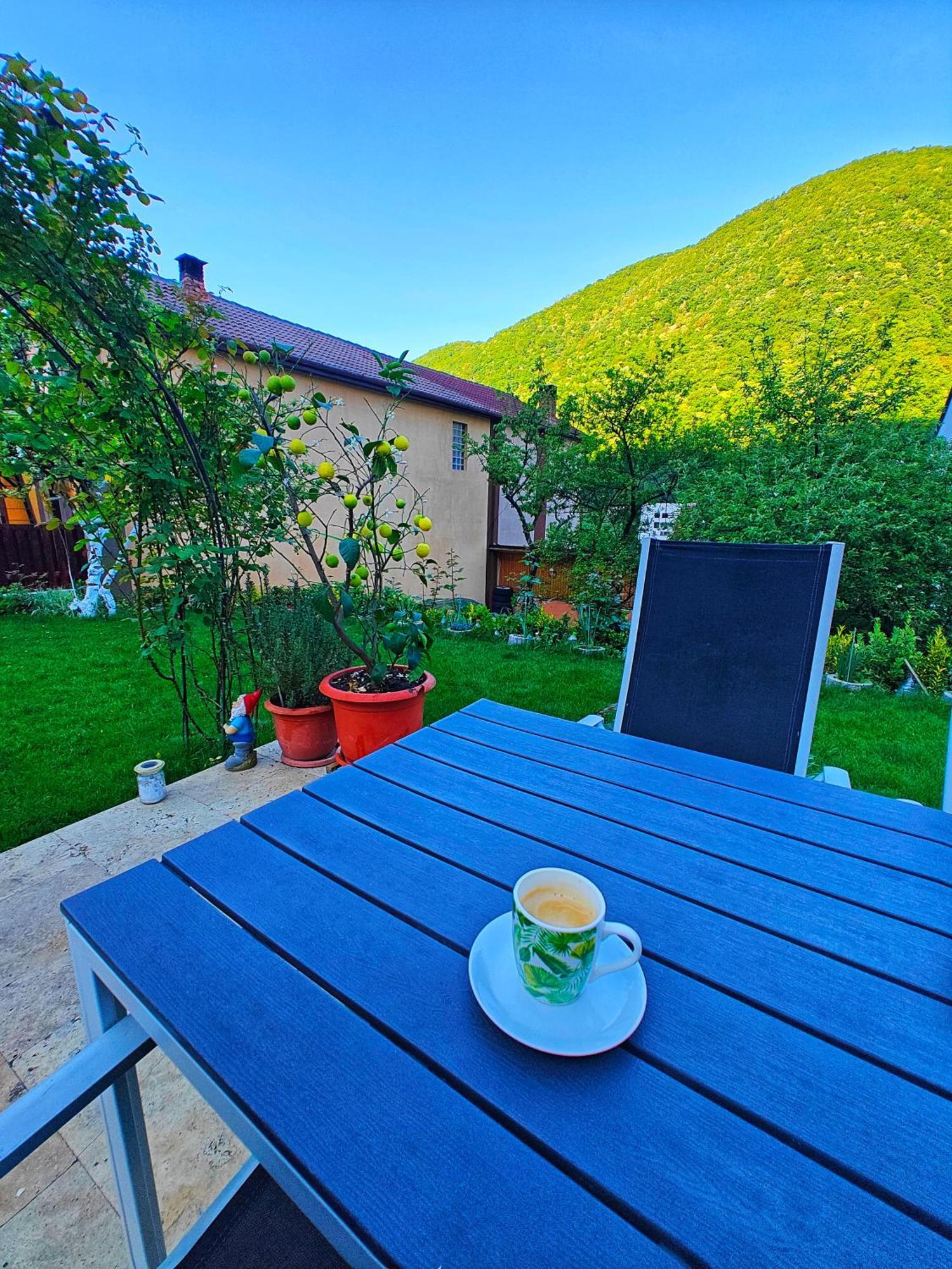 Ferienwohnung Casa Miclau Băile Herculane Exterior foto