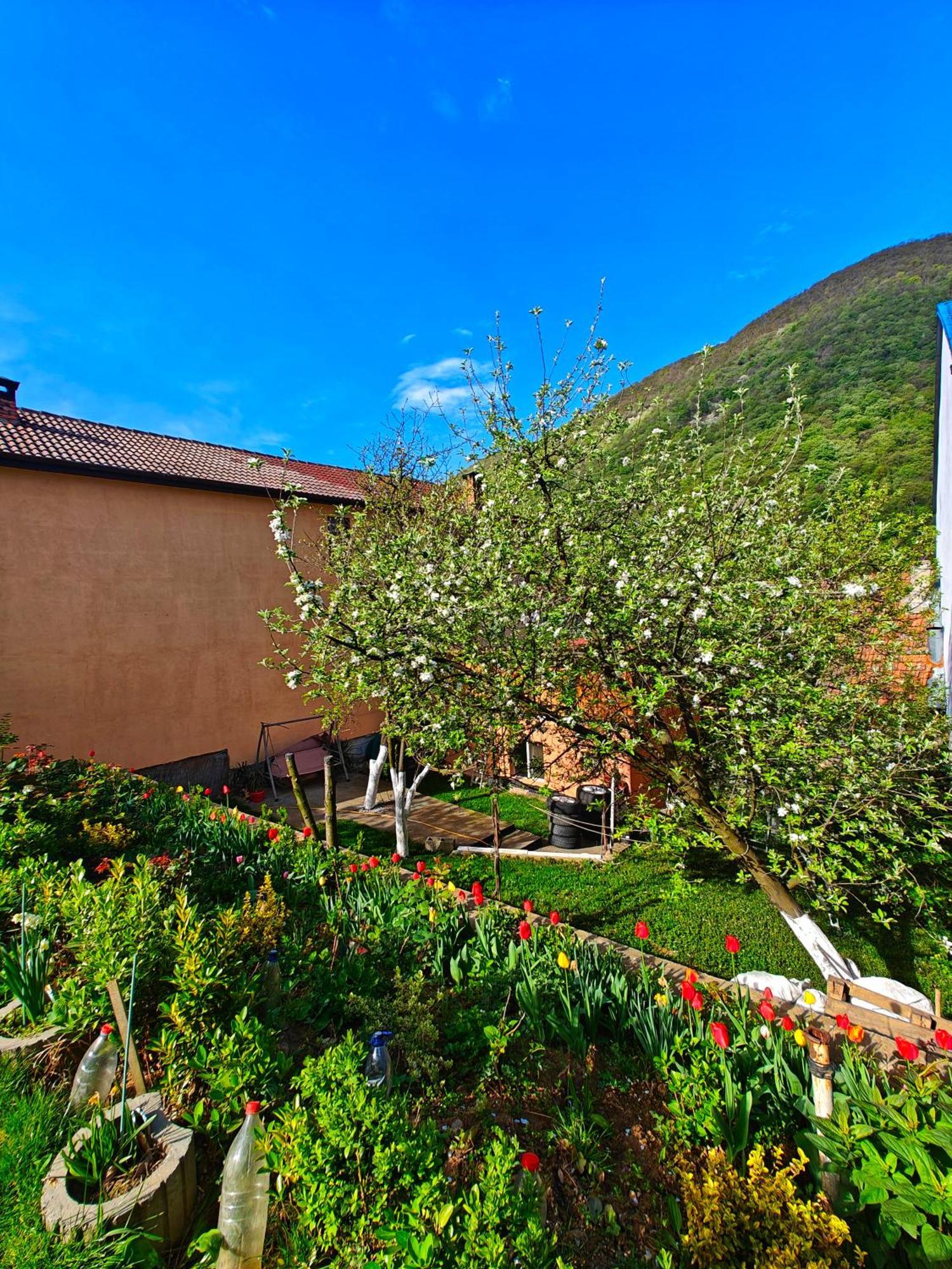 Ferienwohnung Casa Miclau Băile Herculane Exterior foto