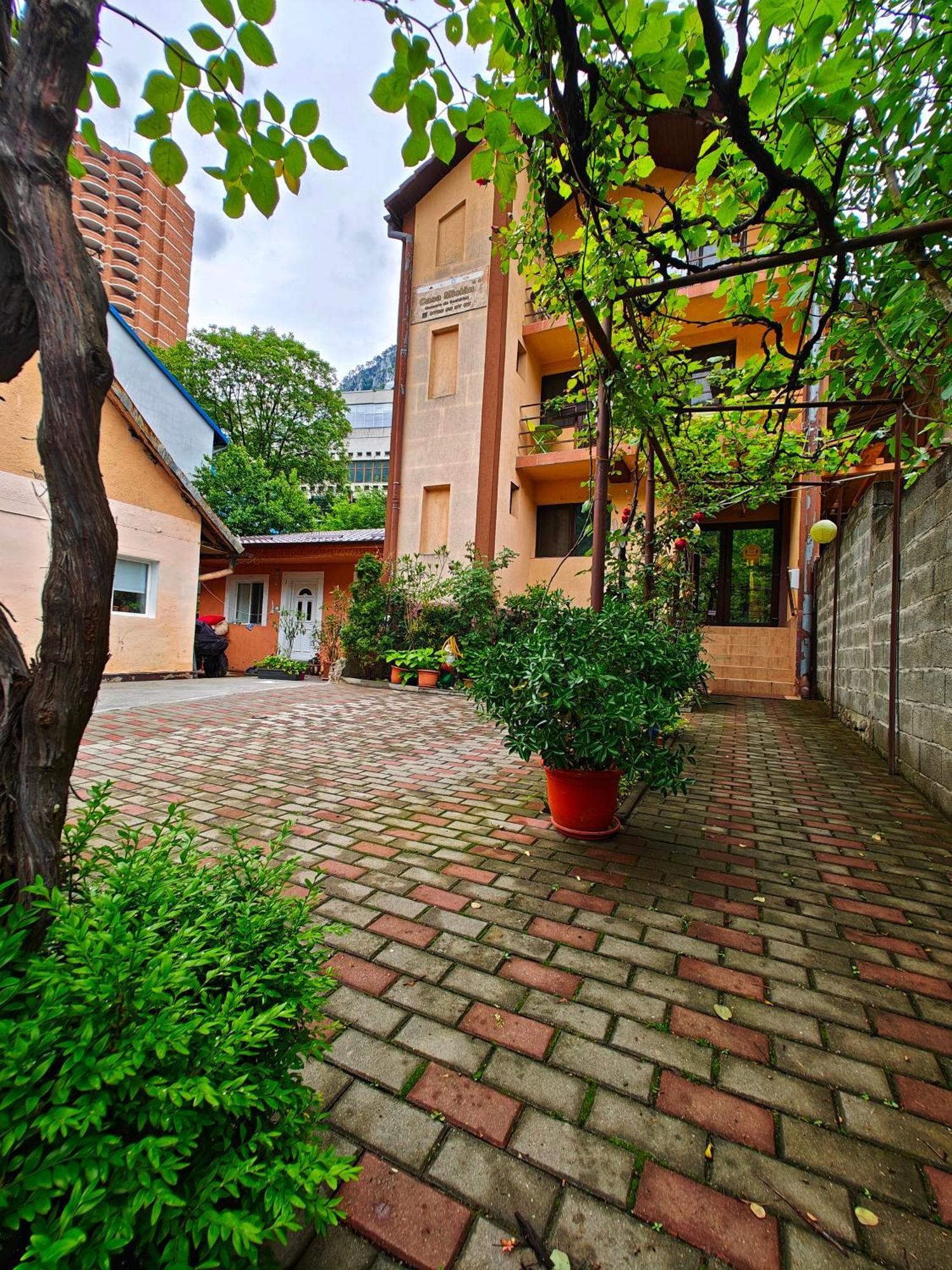 Ferienwohnung Casa Miclau Băile Herculane Exterior foto