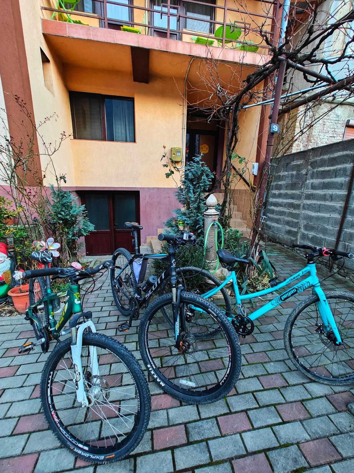Ferienwohnung Casa Miclau Băile Herculane Exterior foto