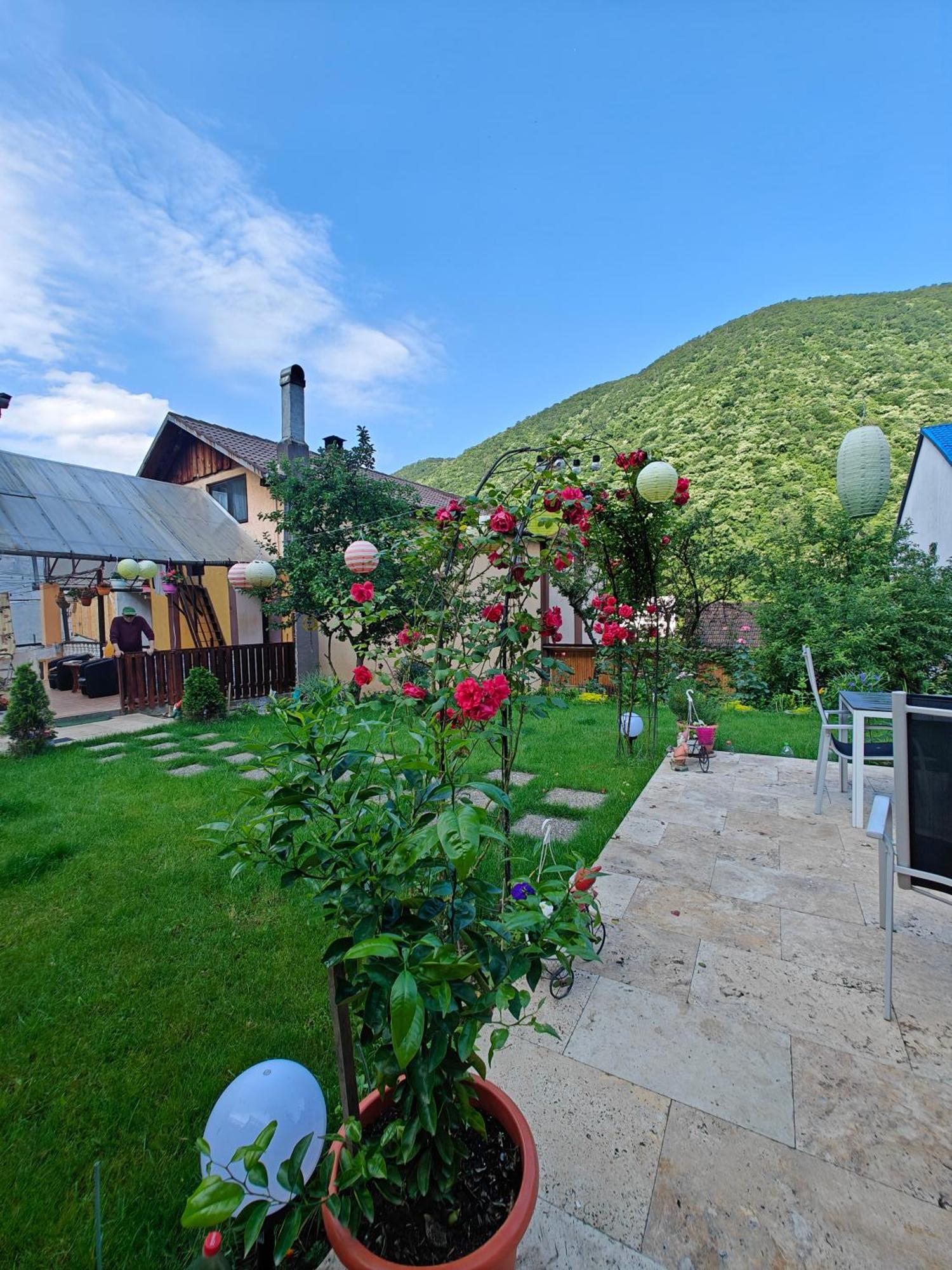 Ferienwohnung Casa Miclau Băile Herculane Exterior foto